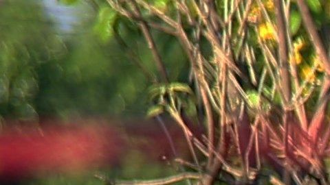 Todas las víctimas son trabajadores de la prisión.