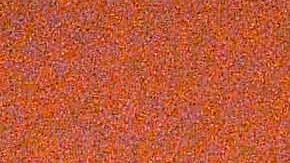 El nuevo embajador mexicano en Malasia intervino en el caso de los hermanos González Villarreal.