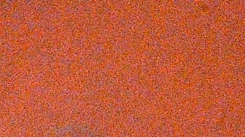 El nuevo embajador mexicano en Malasia intervino en el caso de los hermanos González Villarreal.