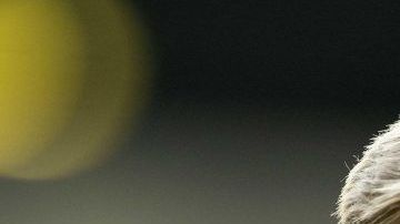 El centrocampista holandés del Ajax Frenkie de Jong sueña con entrenar con Messi.