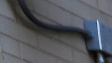 Seguidores de Juan Guiadó celebran la expulsión de los activistas de la embajada.