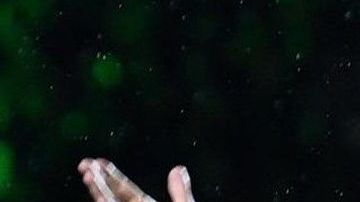 Cristiano Ronaldo llegó a la Juventus para triunfar en la Serie A.