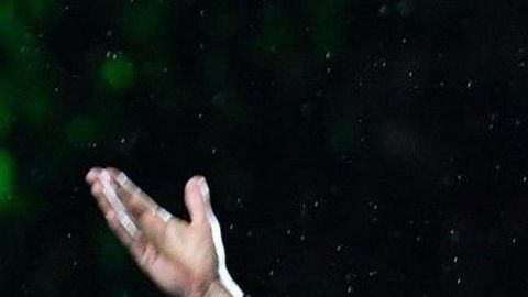 Cristiano Ronaldo llegó a la Juventus para triunfar en la Serie A.