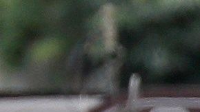 Policías en la escena del crimen en Kawasaki, al sur de Tokio