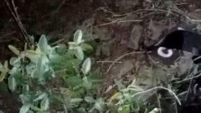 Espiral de violencia en México