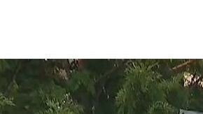 El BMW Modelo M5 del 2014 estaba viajando en el lado norte de la autopista “a una velocidad alta”, informó el CHP.