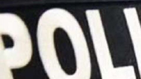 ICE detuvo al inmigrante en marzo pasado.