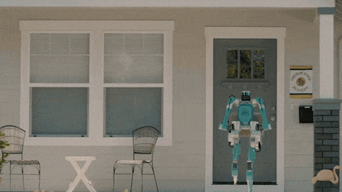 Digit puede cargar 40 libras