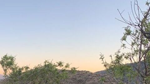 Imágenes de la operación.