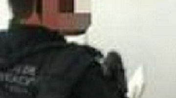 El operativo se realizó tras una denuncia ciudadana.