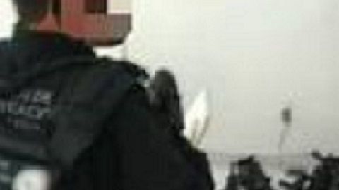 El operativo se realizó tras una denuncia ciudadana.