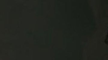 Massaro tenía más de 138,000 seguidores en Twiiter.