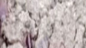 Pareja quemada viva en San Luis Potosí