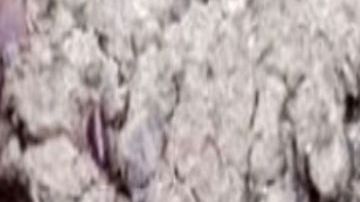 Pareja quemada viva en San Luis Potosí