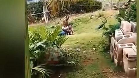 Un niño en pañales presenció parte de la escena.