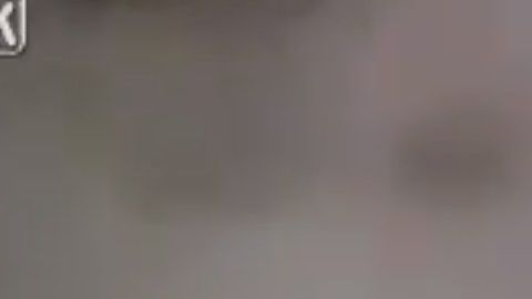 El video original se publicó en 2017.