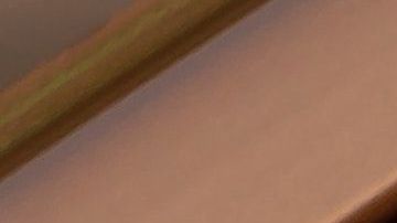 Un auto limpio y una mascota feliz es la mejor combinación