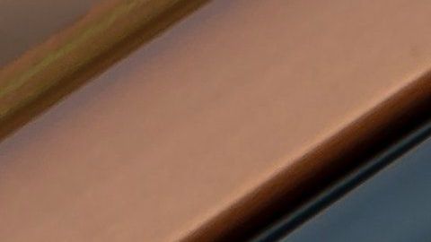 Un auto limpio y una mascota feliz es la mejor combinación