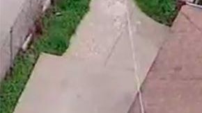 El callejón donde se halló al niño.