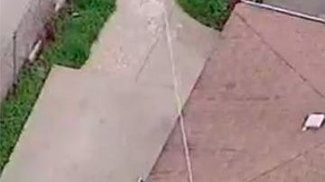 El callejón donde se halló al niño.