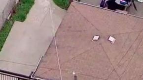 Una mujer y su hija notaron al bebé, que aún tenía el cordón umbilical conectado, en un callejón en el 1714 al norte de la avenida Keystone y lo llevaron a un cuartel de bomberos.