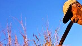 Nicoya, Costa Rica, es una de las ciudades del mundo donde los residentes gozan de buena salud después de adultos./Cortesía