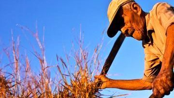 Nicoya, Costa Rica, es una de las ciudades del mundo donde los residentes gozan de buena salud después de adultos./Cortesía