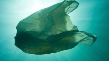 Contaminación en el fondo del mar.