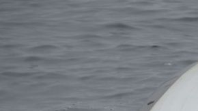 65 millas al oeste de Atlantic City