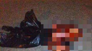 Brutalidad en Acapulco narcos se mandan sangriento mensaje con dos mutilados