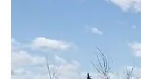 Cayóa cerca del helipuerto de W. 30th St