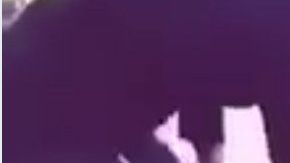 Un hombre pateó a un gato y subió el vídeo a internet.