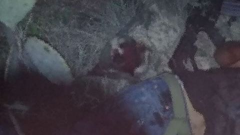 Enfrentamiento en Coahuila.