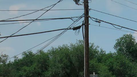 El 48.1%, vive por debajo del umbral de pobreza en esta localidad de Illinois.