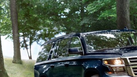 La más utilizada cada año.