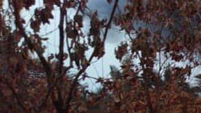 Explota toma clandestina.