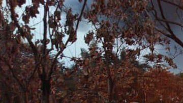 Explota toma clandestina.