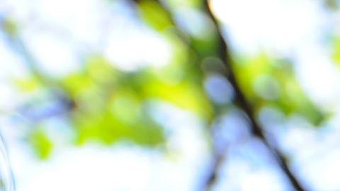 Las segundas y terceras generaciones en EEUU tienen el español como una lengua de herencia, asegura Retis.