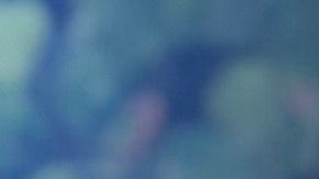 Clarissa Molina, estrella de la película "Qué León"