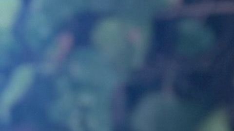 Clarissa Molina, estrella de la película "Qué León"