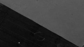 Los cuerpos quedaron en el patio junto a unas botellas.