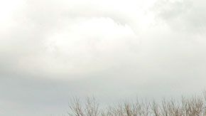 El informe dio a conocer que los vehículos pequeños suelen ser más letales que los grandes.