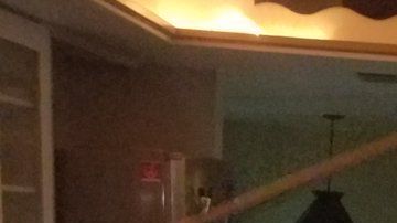 Nadie espera hallar un cocodrilo como este en la cocina.