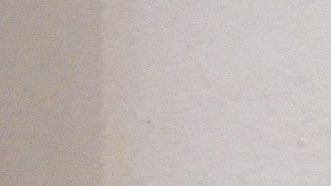 La Iglesia Católica pidió a los legisladores de California que respeten el derecho a la libertad religiosa.