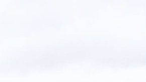 Muchos tacharon de crueldad animal la forma en cómo pintó a la vaca.