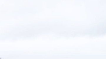 Muchos tacharon de crueldad animal la forma en cómo pintó a la vaca.