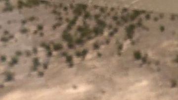 Foto de la aeronave siniestrada en una zona montañosa de Coahuila.