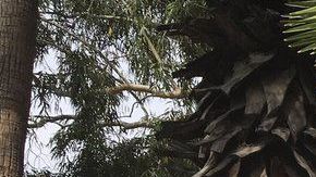 Activistas de No Más Muertes durante un evento.