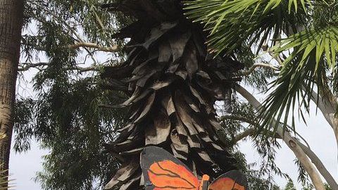 Activistas de No Más Muertes durante un evento.