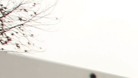 Los beneficiarios de DACA pueden obtener legalmente el Real ID, sin embargo, su periodo de validez debe corresponder con la fecha hasta la cual pueden permanecer en el país con estatus legal. 